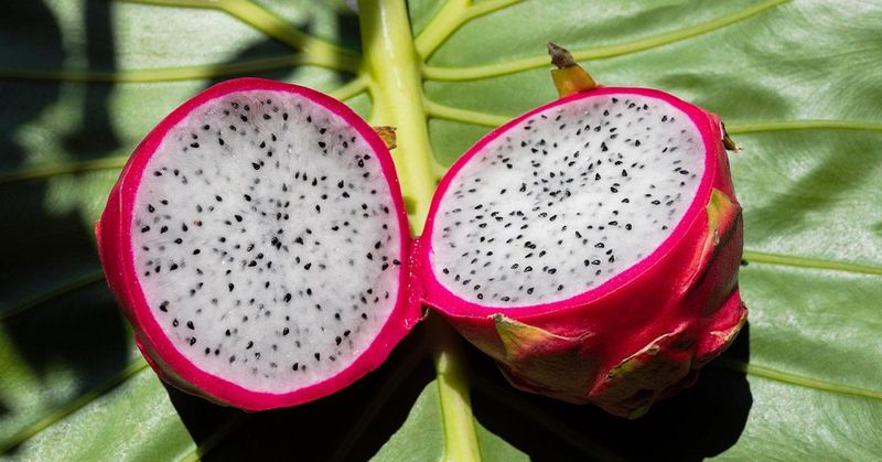 Dragon Fruit