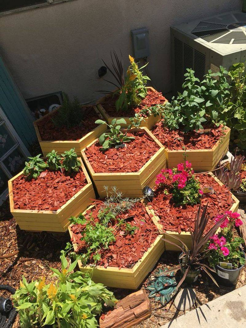 Hexagonal Harmony Spiral