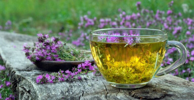 Forget Expensive Tea Bags – Here Are 13 Garden Herbs to Dry Instead