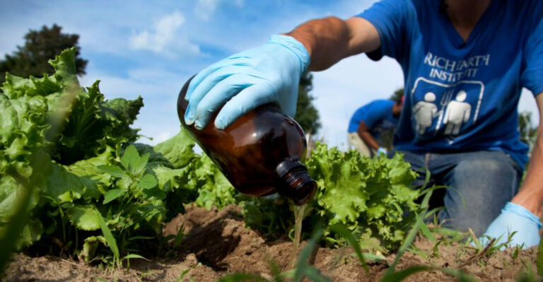Forget Store-Bought Fertilizer — Here Are 20 Free Garden Boosters Instead