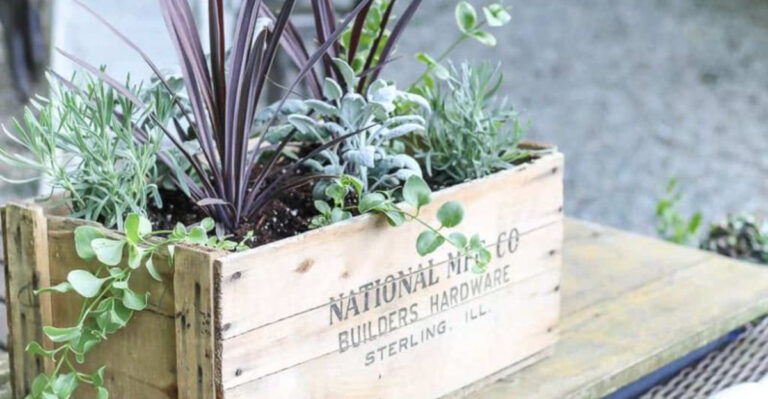 Forget Store Bought Planters – Here Are 16 DIY Ideas That Work Better