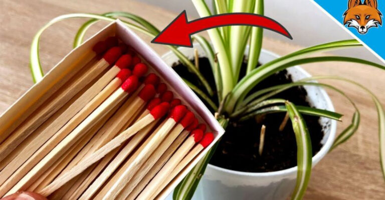 From Diapers to Vodka: 10 Totally Weird Things That Help Your Garden Grow