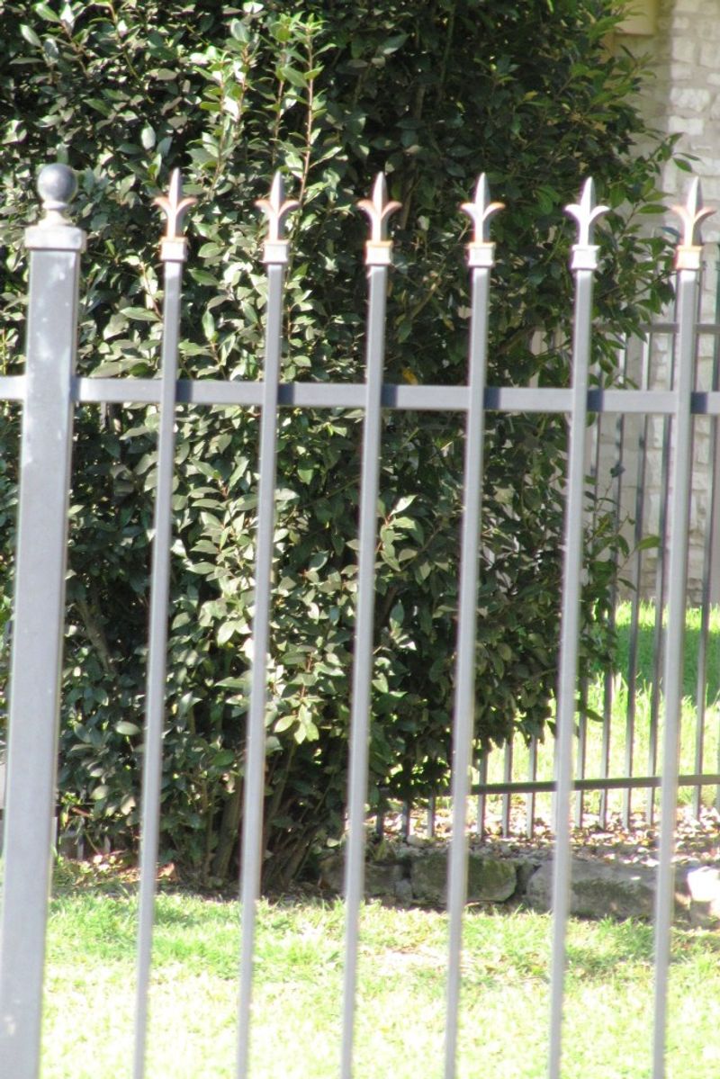 Short Fences (for Wildlife Safety)