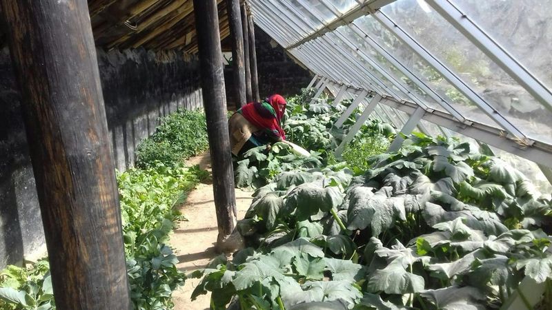 High Altitude Regions