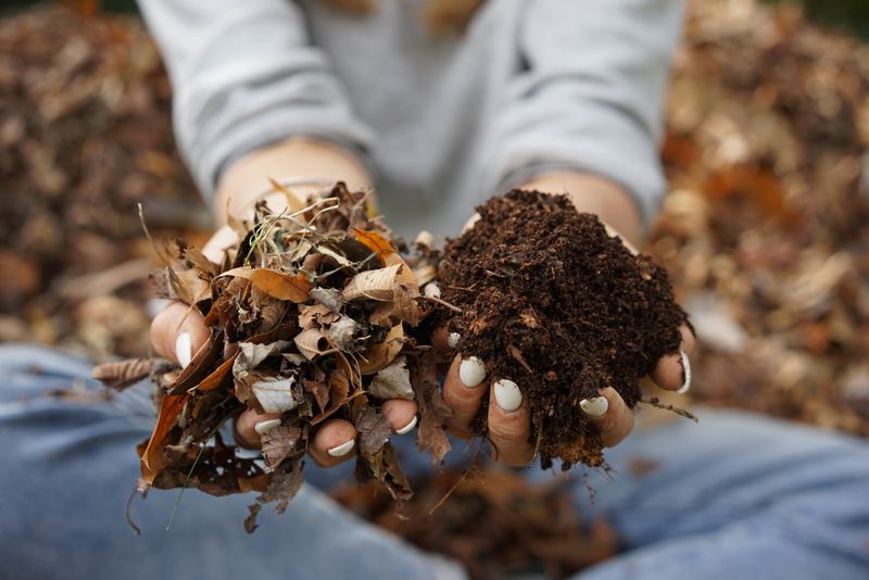 Rotting Organic Matter (Compost Piles)