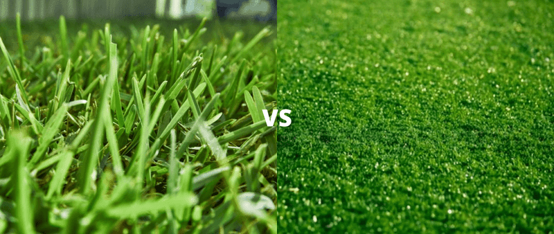 Artificial Turf
