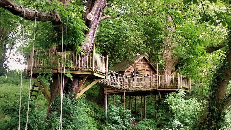 Treehouse for Kids