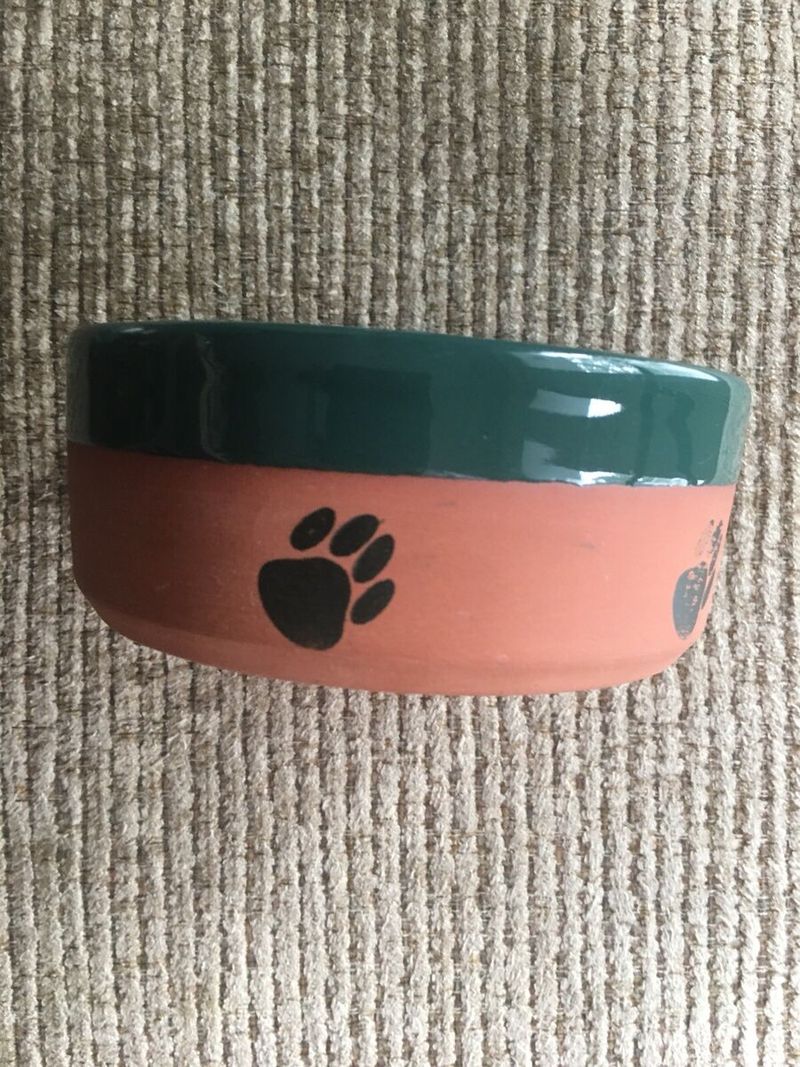 Playful Pet Water Dish