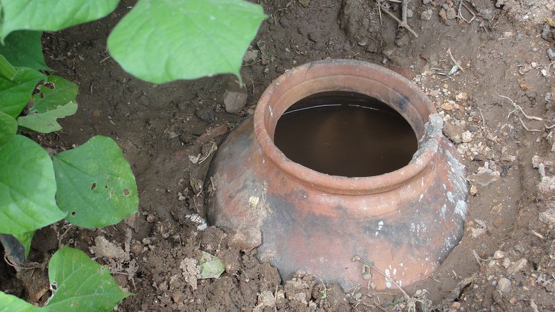 Clay Pot Irrigation