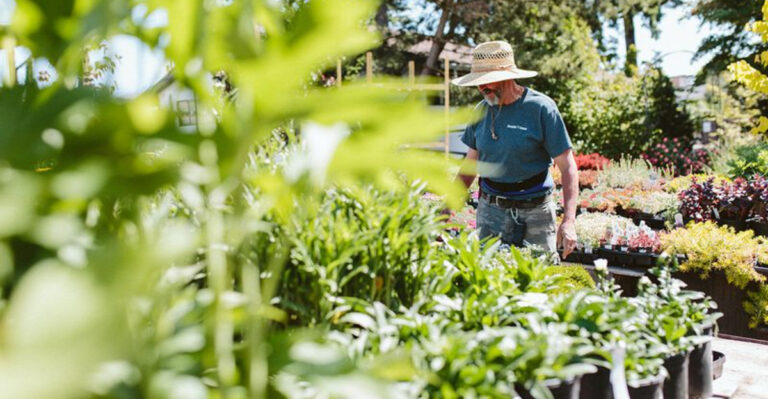 Gardens Will Stay Lush and Healthy During a Heatwave if 10 Easy Steps Are Followed