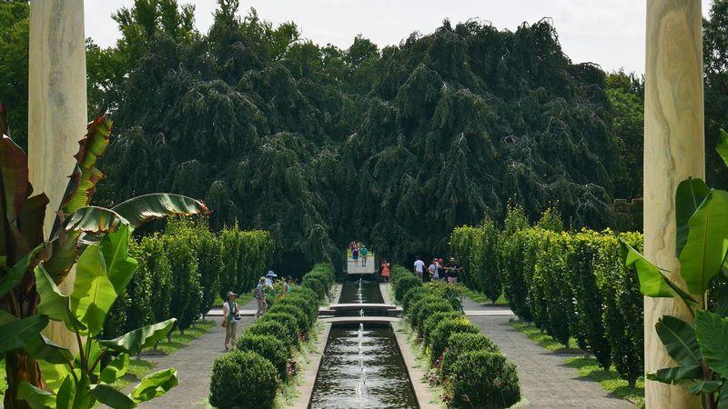 Modern Revitalization Efforts