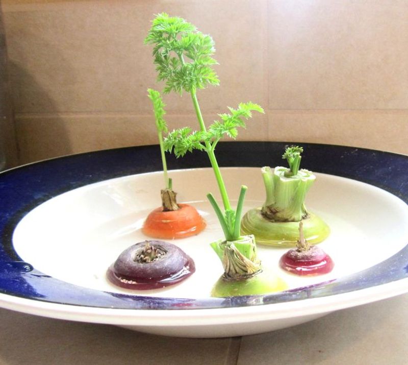 Carrot Tops (for Greens)