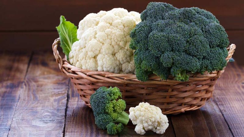 Price & Availability 💰