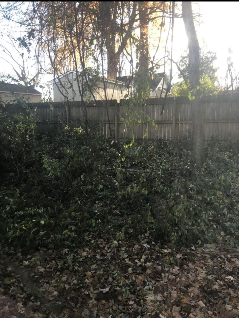 Sunlight Deprivation