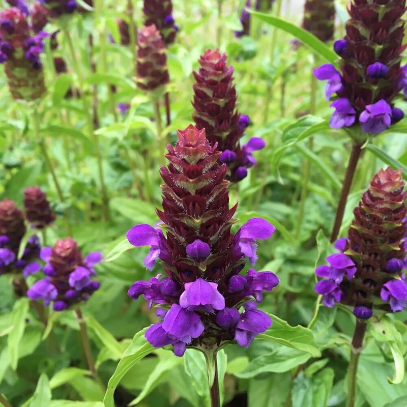 Self-Heal