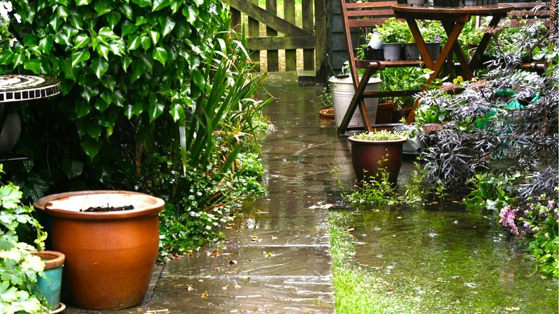 Weather Protection: Wind and Rain Concerns