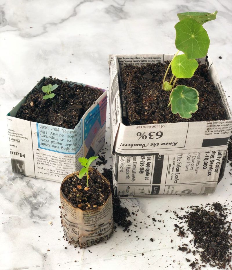 Newspaper Seed Starters