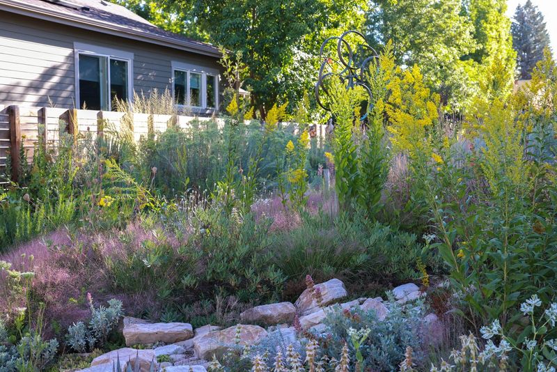 Rocky Mountain Retreat