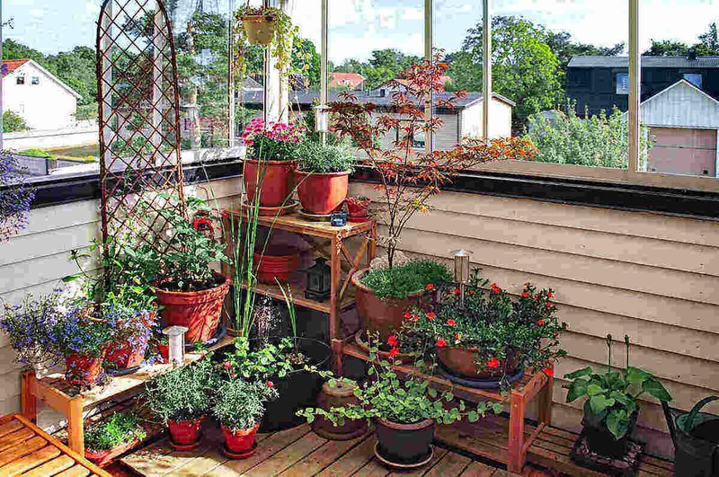 Mulch Your Containers