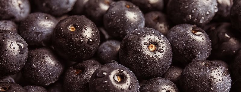 Açaí Berries