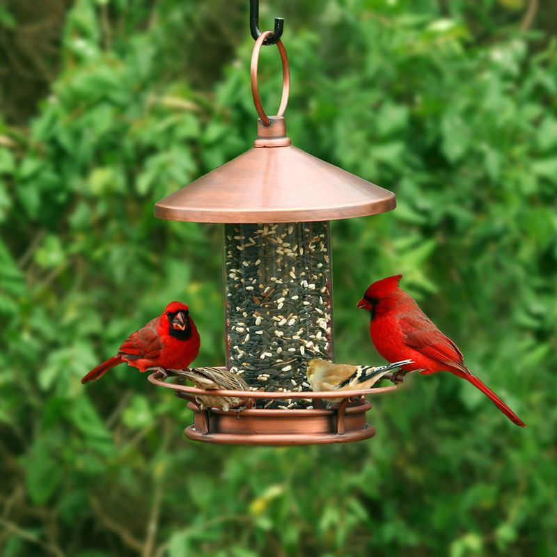 Maintain Your Feeders