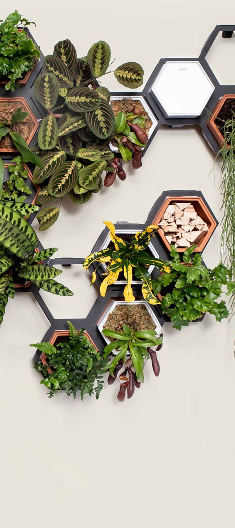 Modular Wall Planters