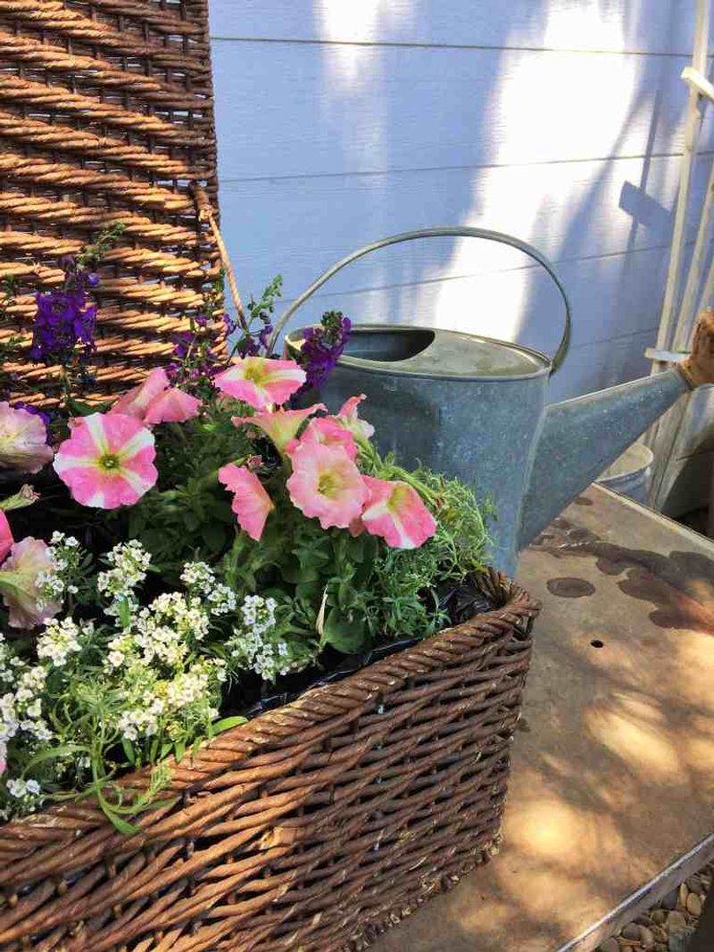 Basket Planters (Lined with Plastic)