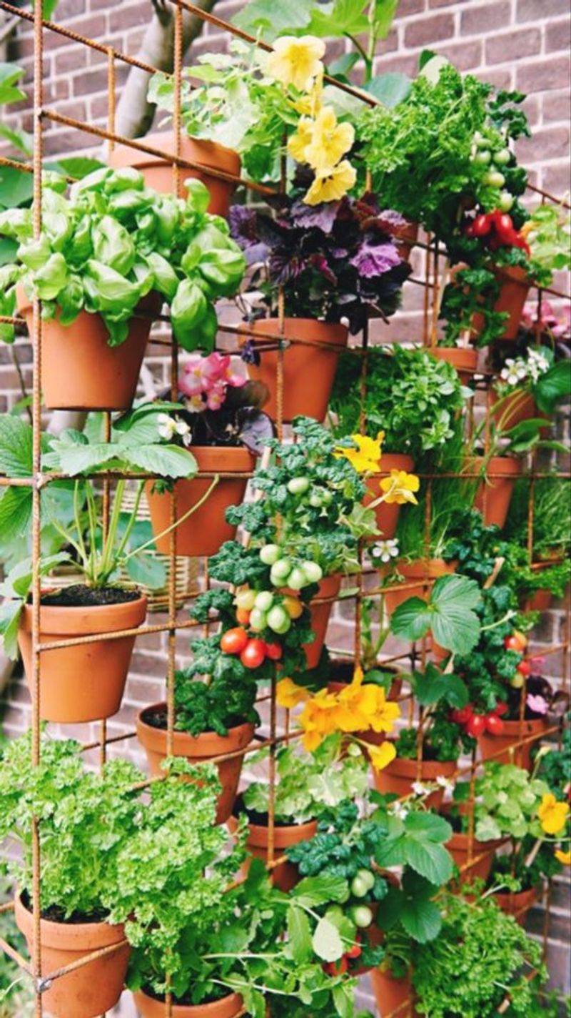 Tiered Wire Basket Garden