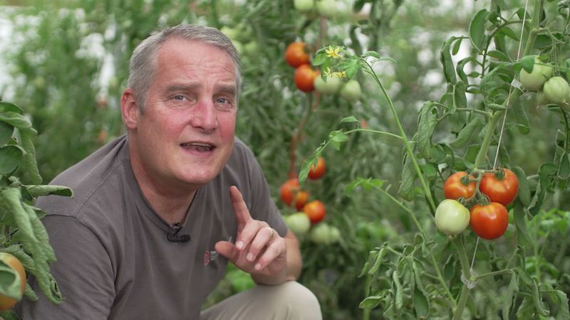 Season Extension Techniques