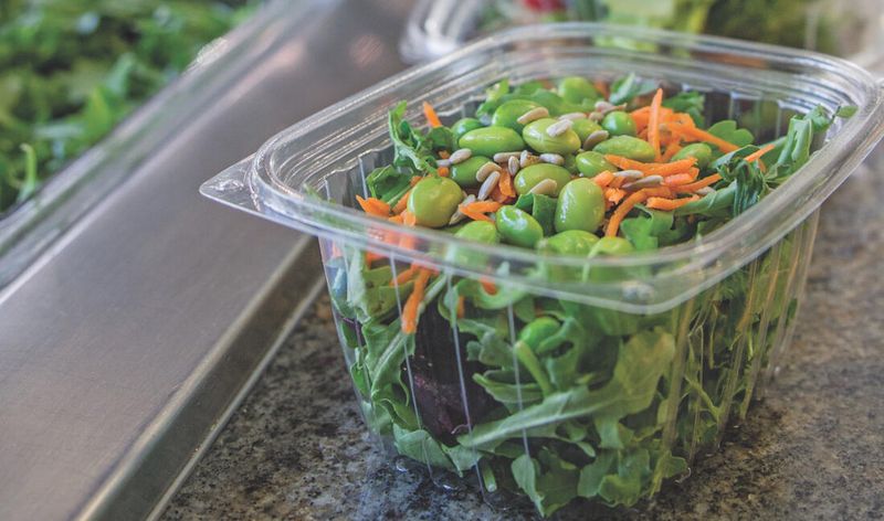 Biodegradation Issues