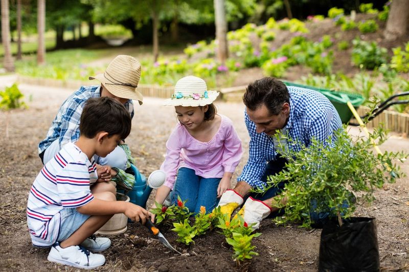 Involving the Family in Gardening