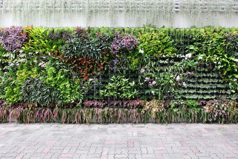 Vertical Gardens