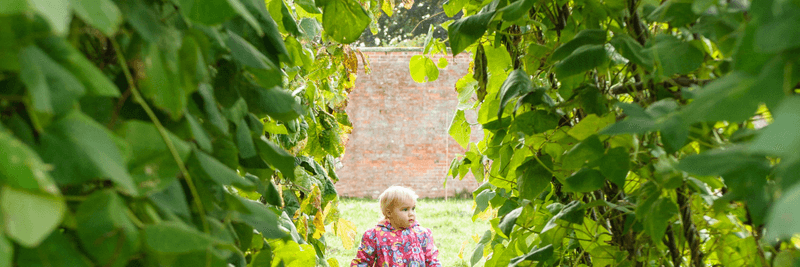 Children's Exploration