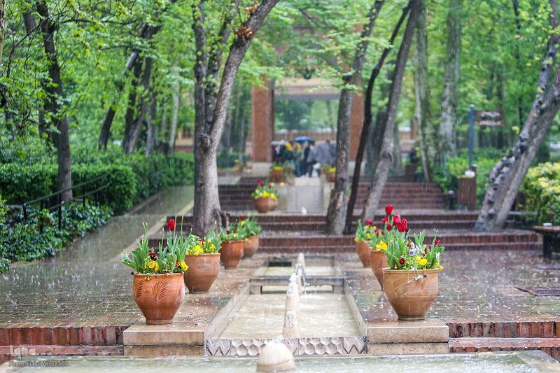 Seasonal Transitions