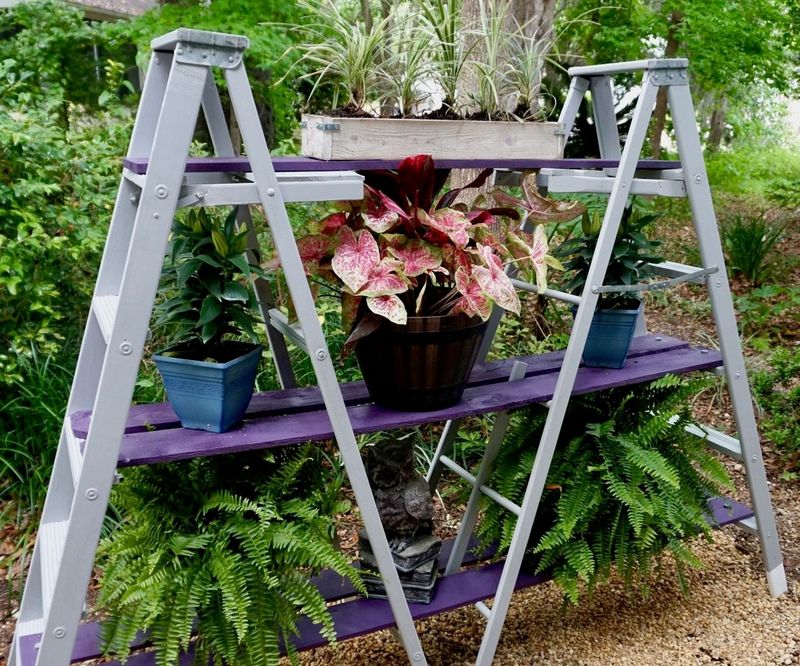 Repurposed Ladder Plant Stand