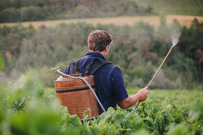 Biodynamic Soil Preparations