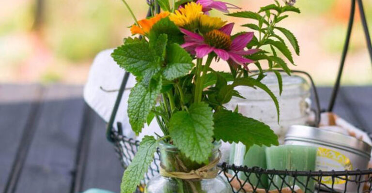 How To Store Fresh Herbs From The Garden: 10 Best Methods To Maximize Shelf Life