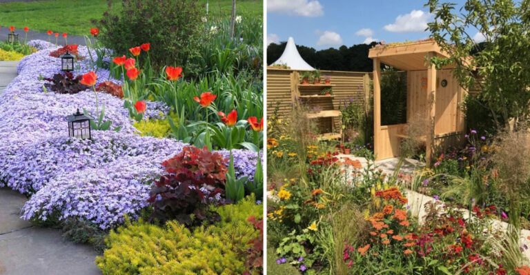 How to Design a Serpentine Flower Border