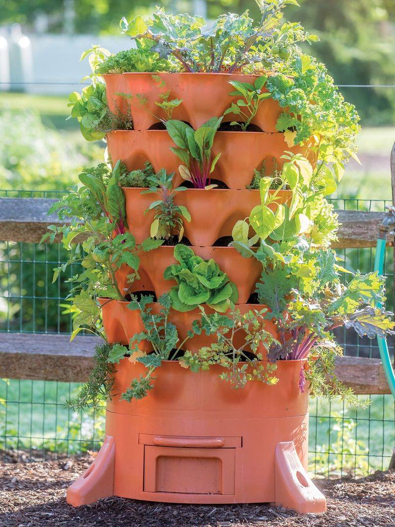 Choose the Right Plants