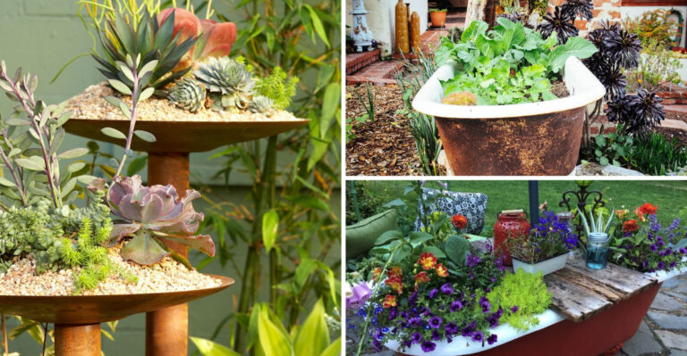 How to Turn an Old Bathtub into a Garden Oasis