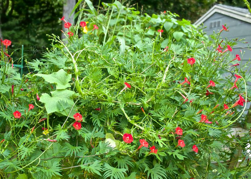 Choosing the Right Location