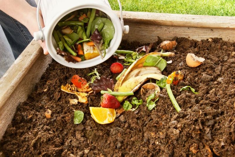 Compostable Kitchen Scraps
