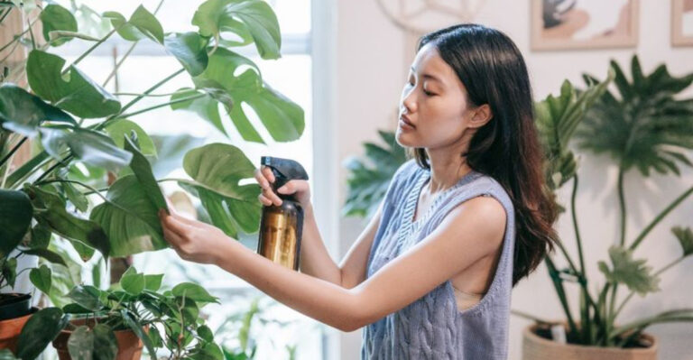 I Killed 23 Houseplants in One Year – These 9 Changes Saved My Garden