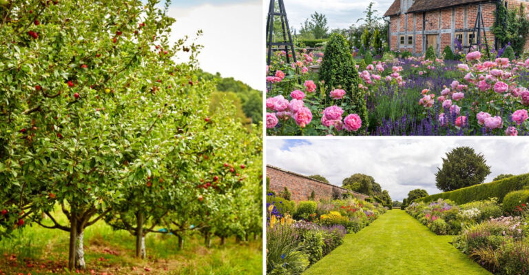 I Tried 23 English Garden Ideas — These 16 Actually Work in America