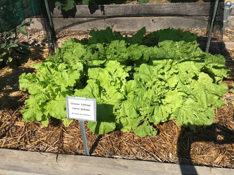 Poor Sunlight Orientation