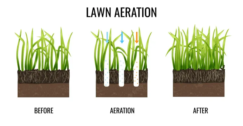 Neglecting Aeration