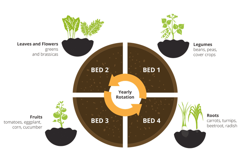 Neglecting Crop Rotation