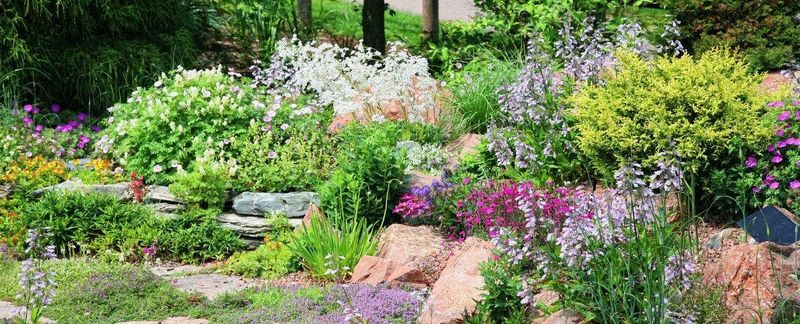 Disregarding Plant Lifecycles