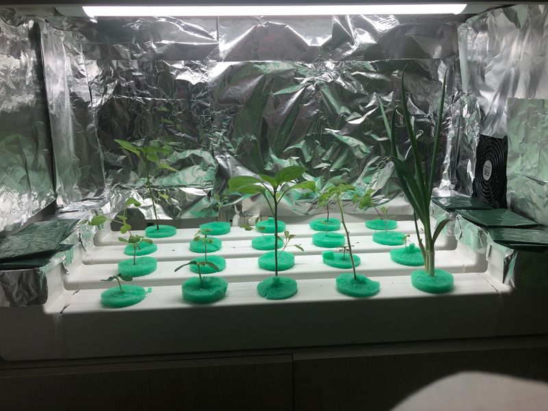 Use Reflective Surfaces for Light