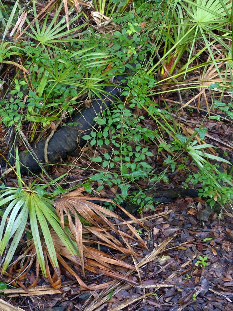 Encouraging Community Engagement